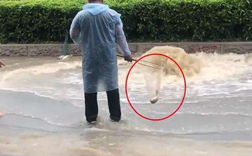輸送帶廠家：廣州雨后內(nèi)澇嚴(yán)重，路人當(dāng)街捕魚