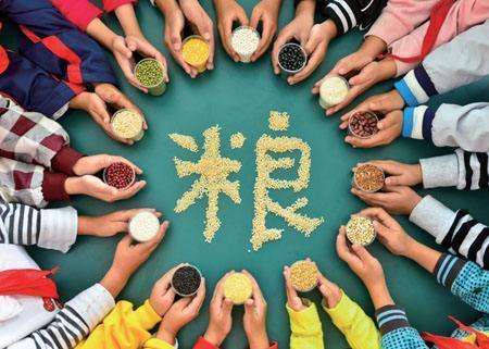 輸送帶廠(chǎng)家：第40個(gè)世界糧食日，食品安全很重要