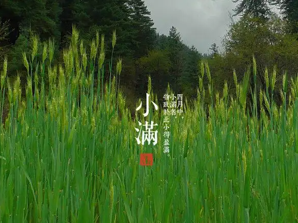 今日小滿，擎川與你一起靜待美滿！